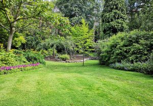 Optimiser l'expérience du jardin à Villargent